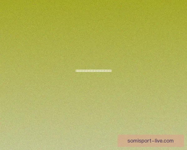 仙剑奇侠传四破解全攻略与常见问题解答及技巧分享