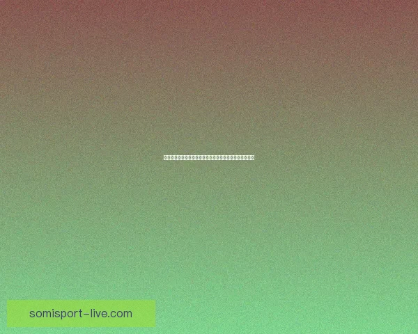 以战袍为象征铸就辉煌英雄人生历程解析与成就背后的故事